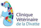 Clinique Vétérinaire de la Divatte- Le Loroux-Bottereau